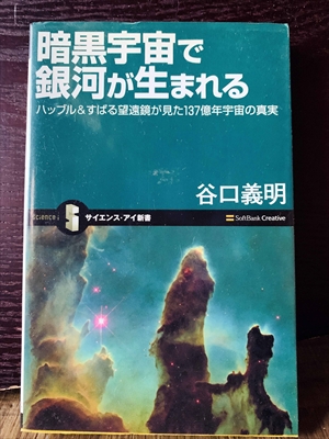 1347_谷口義明_暗黒宇宙で銀河が生まれるハッブルすばる望遠鏡が見た137億年宇宙の真実_サイエンス・アイ新書