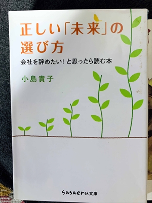 1788_小島貴子_正しい「未来」の選び方・会社を辞めたい!と思ったら読む本_SASAERU文庫