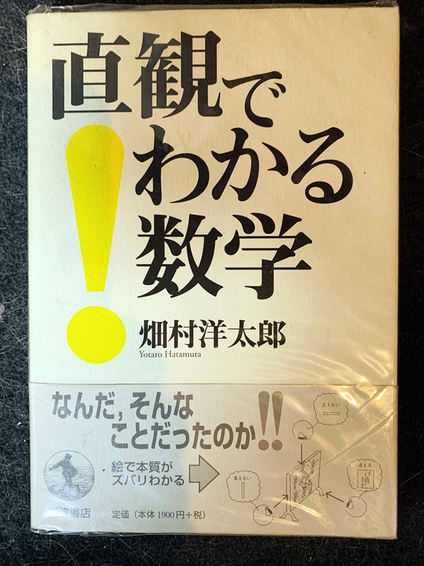 1588_畑村洋太郎_直観でわかる数学・なんだ、