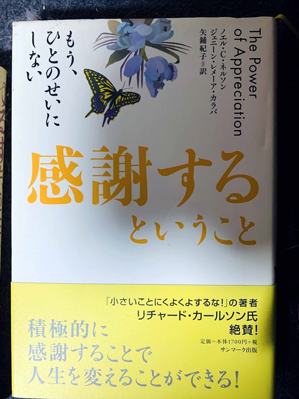 1691_ノエル・C・ネルソン_矢鋪紀子訳_もう