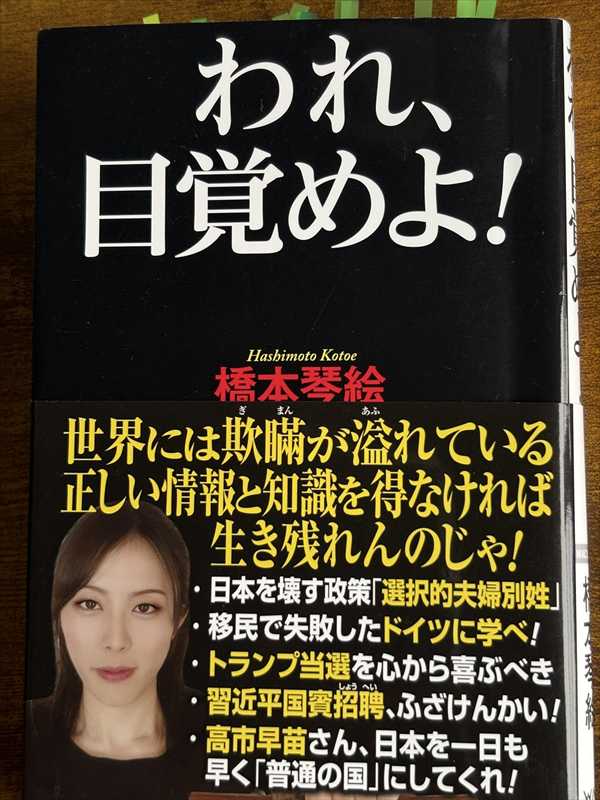 2006_���{�ՊG_���A�ڊo�߂�_���b�N