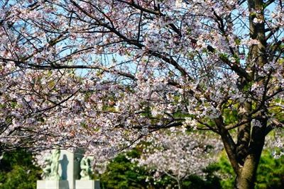 1013_石橋記念公園_鹿児島