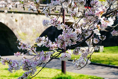 1017_石橋記念公園_鹿児島