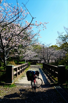 1001_多賀山公園_鹿児島