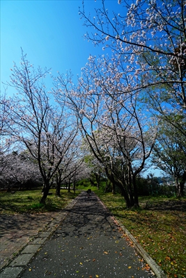 1002_多賀山公園_鹿児島