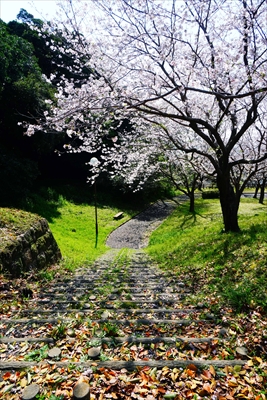 1003_多賀山公園_鹿児島