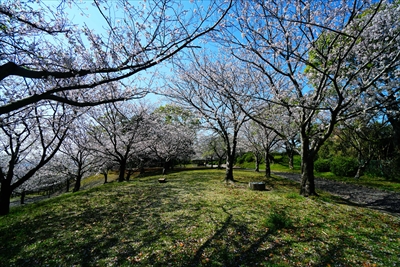 1004_多賀山公園_鹿児島