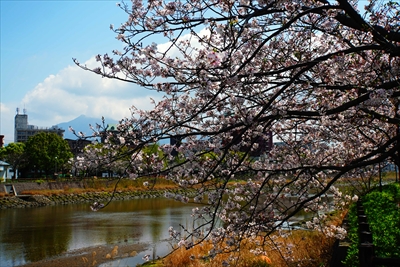 1007_甲突川緑地_鹿児島