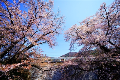 1002_勝沼ぶどう卿駅_山梨