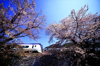 1003_勝沼ぶどう卿駅_山梨