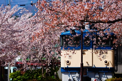 1004_勝沼ぶどう卿駅_山梨