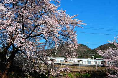 1009_勝沼ぶどう卿駅_山梨