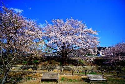 1005_勝沼ぶどう卿駅_山梨