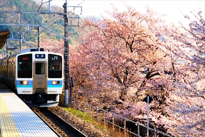 勝沼ぶどう卿駅_山梨