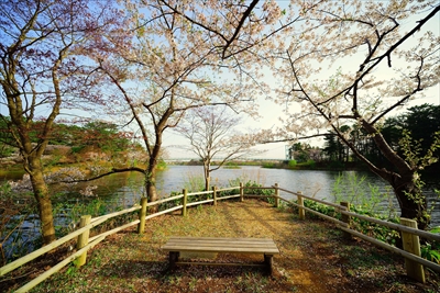 芦野公園_青森