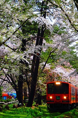 芦野公園_青森