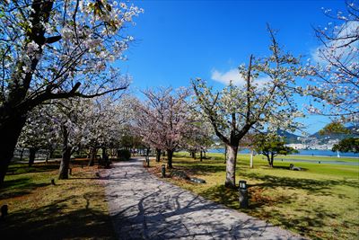 水辺の森公園_長崎