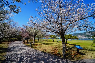 1005_水辺の森公園_長崎