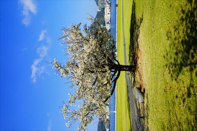 1009_水辺の森公園_長崎