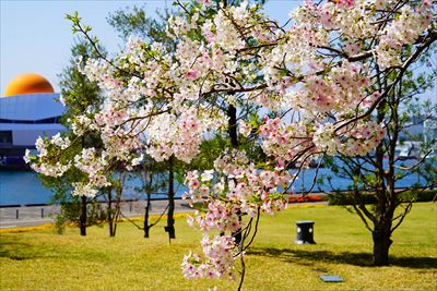 1012_長崎県庁おのうえの公園_長崎