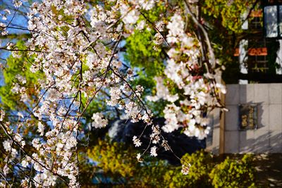 1010_平和公園_長崎