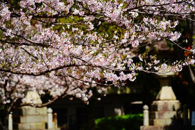 1012_平和公園_長崎