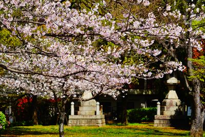 1013_平和公園_長崎