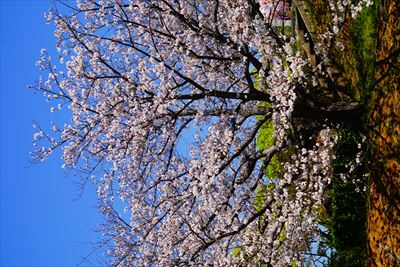 1015_平和公園_長崎