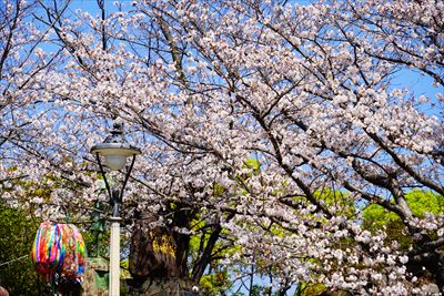 1016_平和公園_長崎