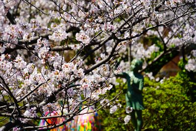 1017_平和公園_長崎