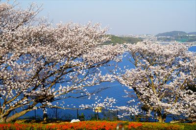 1001_多良見のぞみ公園_長崎