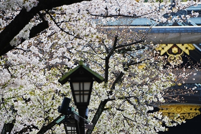 靖国神社_東京