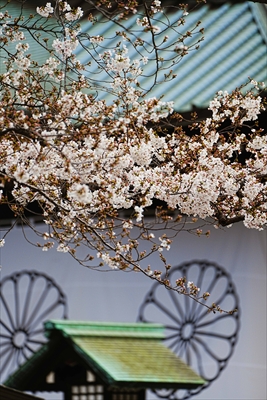 1043_靖国神社_東京