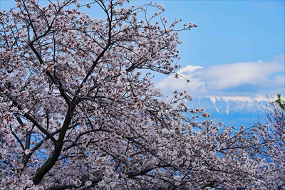 1022_富士市雁堤_静岡