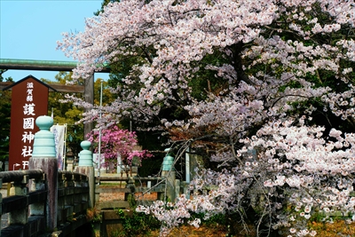 1009_滋賀縣護國神社_滋賀