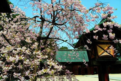1012_滋賀縣護國神社_滋賀