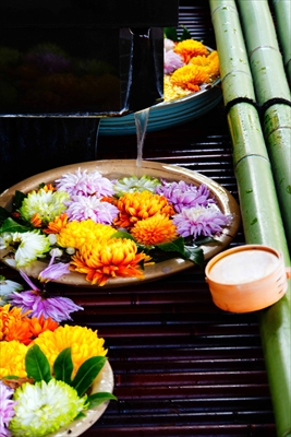 滋賀縣護國神社_滋賀
