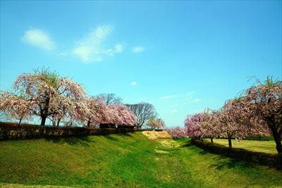 1011_八戸市根城跡本丸址_青森