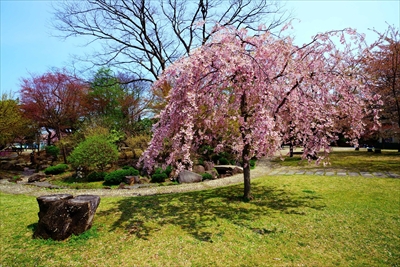 1013_八戸市三八城公園_青森