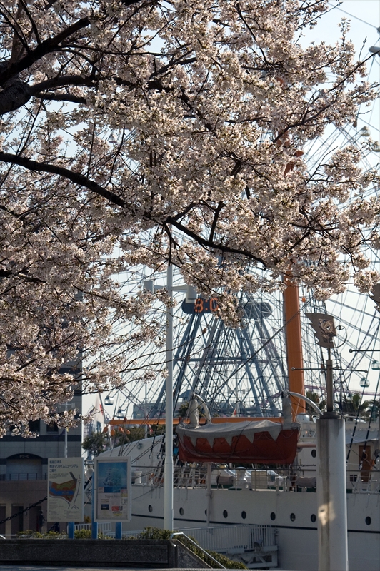 1005_なとみらい_神奈川