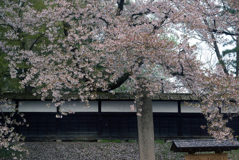 1007_弘前公園_青森