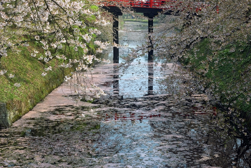 1008_弘前公園_青森