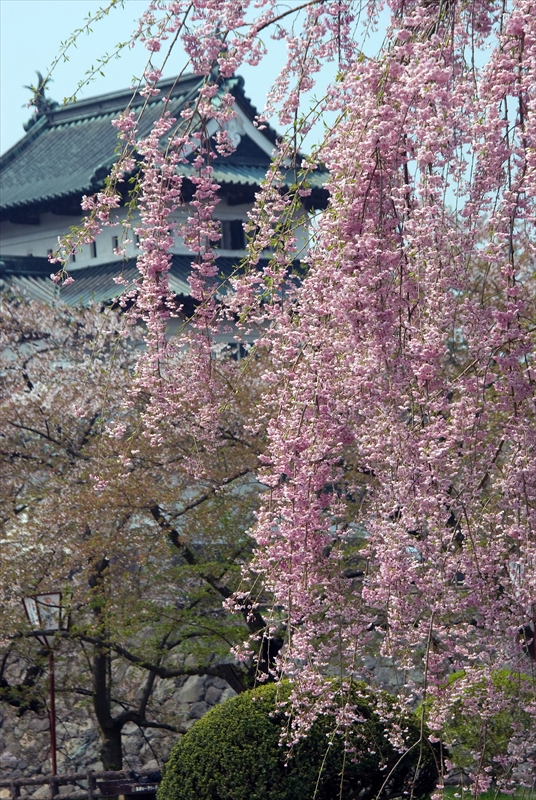 1011_弘前公園_青森
