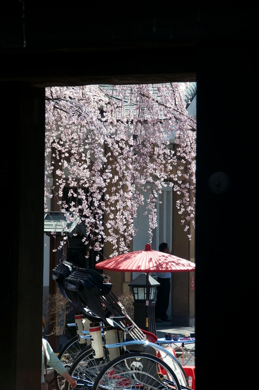 1039_小諸城址懐古園_長野