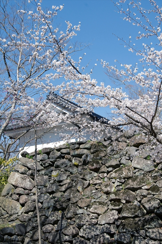 1043_小諸城址懐古園_長野