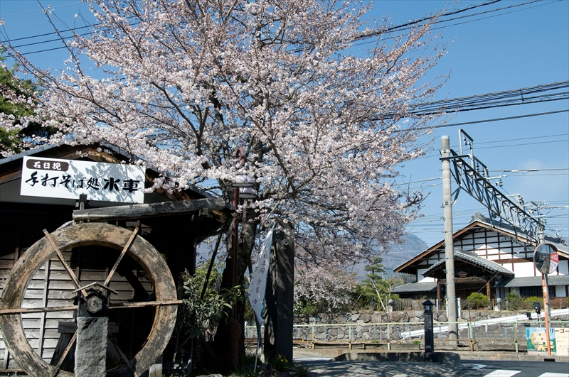 1056_小諸城址懐古園_長野