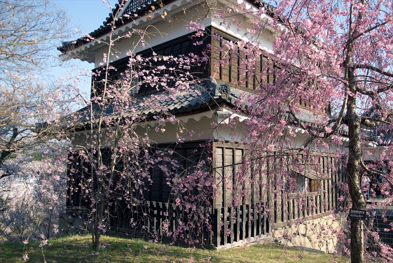 1091_上田城跡公園_長野