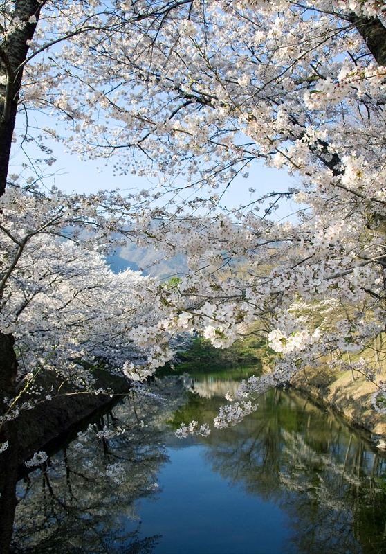 1097_上田城跡公園_長野