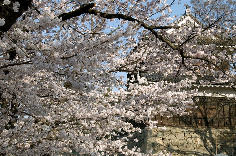 1101_上田城跡公園_長野