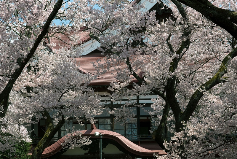 1005_高遠城址公園_長野